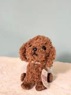 サンレモン パプス PUPS ビーグル 犬 いぬ ぬいぐるみ SUN LEMON