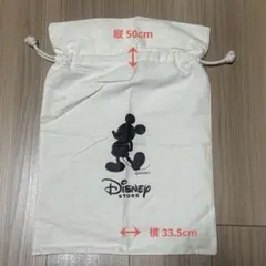 ディズニーストア　ギフト用　巾着Lサイズ