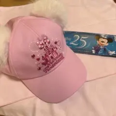 2026年最新】ディズニーパルパルーザ ファンキャップの人気アイテム