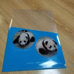 シャオシャオ　レイレイ　クリアファイル