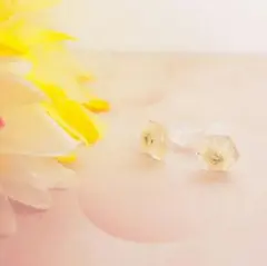 *かすみ草樹脂ピアス 宝石ホワイト*