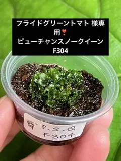 【速達❣️】フライドグリーントマト様 リクエスト 3点 まとめ商品