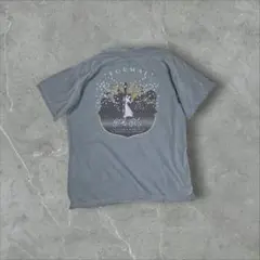 COMFORT COLORS 　アースカラー　T シャツ　US古着　L