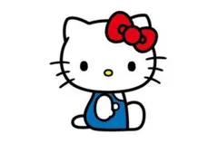 shoさん専用