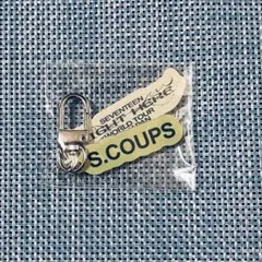 SEVENTEEN セブチ RIGHT HERE キーリング エスクプス