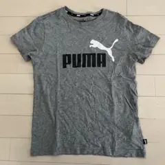 【ヨレ、ほつれ無し】PUMA グレー Tシャツ 140cm