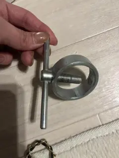 Item thumbnail for item 689d2b33-d02d-4a93-8bd7-4f4ff5832c6e