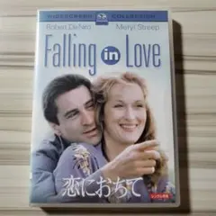 恋におちてDVD【ケース無し】