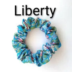 Item thumbnail for item b8d9ac53-aabb-45cb-a294-0debe7d8f59e