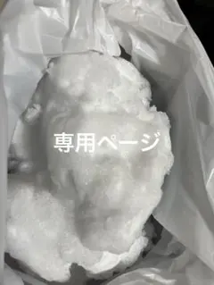 専用ページ