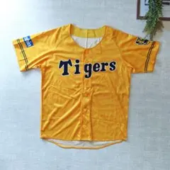 Item thumbnail for item 3acd2c7c-20a1-4f05-916d-d78c69f51795