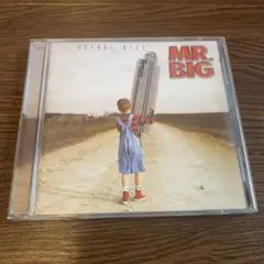 MR.BIG/アクチュアル・サイズ　Actual Size