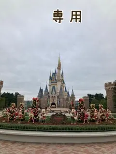 専用✨　ディズニー⭐ リルリンリン ブランケット ⭐クリスマス 2025