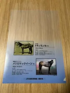 Item thumbnail for item 2f5d3046-2893-4729-baa6-51b4dcd1585f