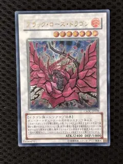 2026年最新】レリーフ ブラックローズドラゴンの人気アイテム - メルカリ