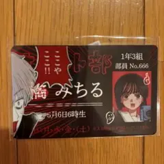 小コレ 2026 プライバシー保護スリーブ＆カード 写らナイんです