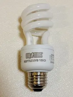 Item thumbnail for item 68871689-77f5-46f5-91c5-309623e9fa60