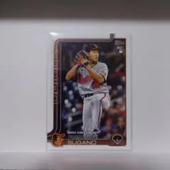 Item thumbnail for item dd7efd05-1339-48db-abeb-09b6c3ad04f8