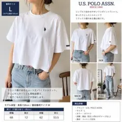 美品 U.S.POLO ASSN. ショート丈ワイドT 白 L ワンポイント刺繍のサムネイル