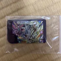 ポケモンフレンダ　ガチグマ