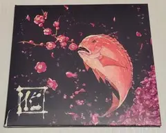 てにをは 囮 帯付き