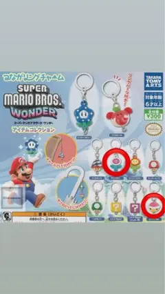 スーパーマリオブラザーズワンダー　アイテムコレクション