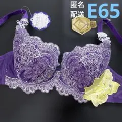 ブラジャー　E65 01のサムネイル