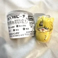 カラフルピーチ　おくるみますこっとチャーム　1 たっつん　からぴち⭐︎