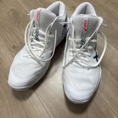 Item thumbnail for item 2daf0361-b8df-4009-8038-162224d718e7