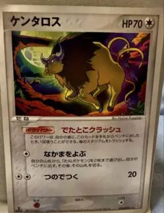 ポケモンカード ケンタロス
