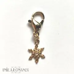 Item thumbnail for item 0b193b29-1a3e-4fd1-9391-66ec72228452