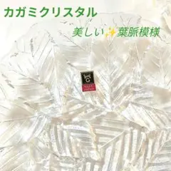 カガミクリスタル ✦ ガラスの葉っぱが美しい 銘々皿セットのサムネイル