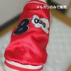 Item thumbnail for item c3c1bf21-e2d2-4441-88ce-1d0e7d6e8fdc