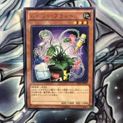 パペットプラント