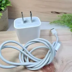 Apple純正の充電器とタイプC-ライトニングの1mケーブルのセット