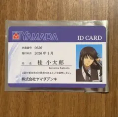 乃木坂46 未使用 nanaco カード 乃木恋 セブンイレブン 橋本奈々未