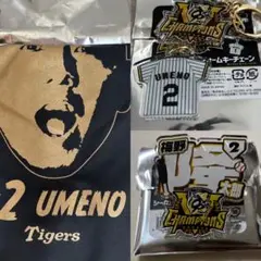 阪神タイガース　優勝　選手顔イラストTシャツ　ネームバッジ　キーチェーン#2