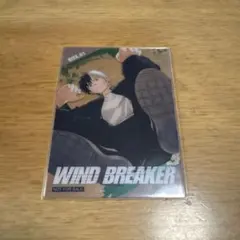 ウィンドブレイカー クリアカードコレクション BOX特典 桜遥