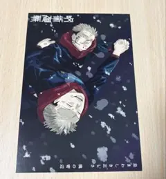 呪術廻戦 29巻 30巻 特典 虎杖悠仁 両面宿儺 イラストカード　ポストカード