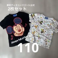 東京ディズニーリゾート 110 2枚セットTシャツ