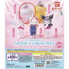 サンリオキャラクターズ ミニチュアチャーム　シナモロール、マイメロ2体セット