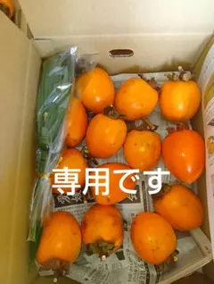 ちゃま様専用干し柿作り用渋柿 5kg 26個入り 干し柿の作り方付