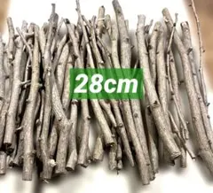 Item thumbnail for item 53b46479-77aa-46a7-bbb1-190a80f38e96