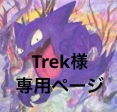 Trek様　専用ページ　まとめ売り