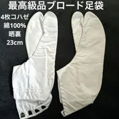 Item thumbnail for item 17f16510-8183-4a39-9b1b-f737af340dac