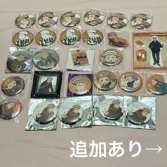 羅小黒戦記2 ロシャオヘイセンキ シームーズ 西木子 缶バッジ 31個