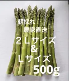朝採れ　農家直送　アスパラ　アスパラガス　500gのサムネイル