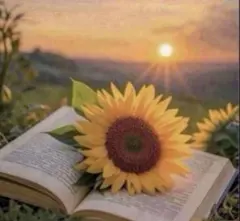 MIYA様 リクエスト 3点 まとめ商品