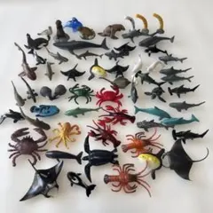 Item thumbnail for item 53f4fc02-8a68-4d72-a2f6-7ea9d91bd238