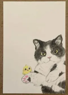 まる様 リクエスト 4点 まとめ商品